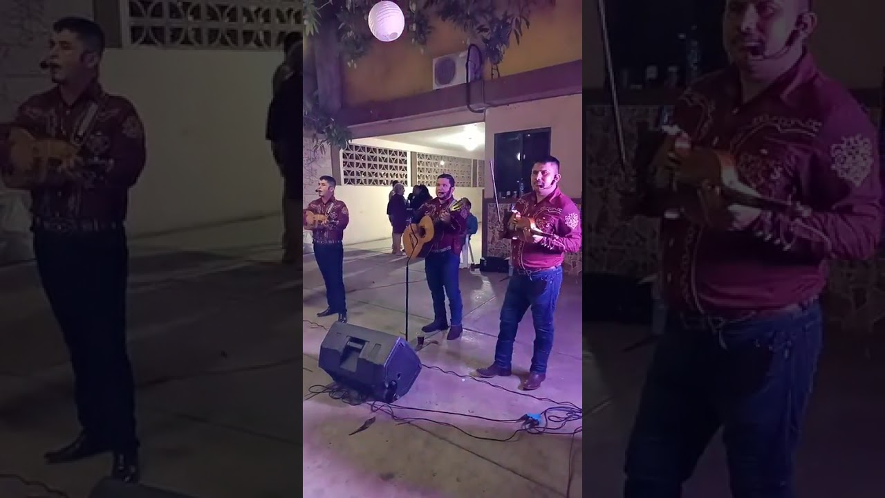 Gallitos del Bernal: cumbias 