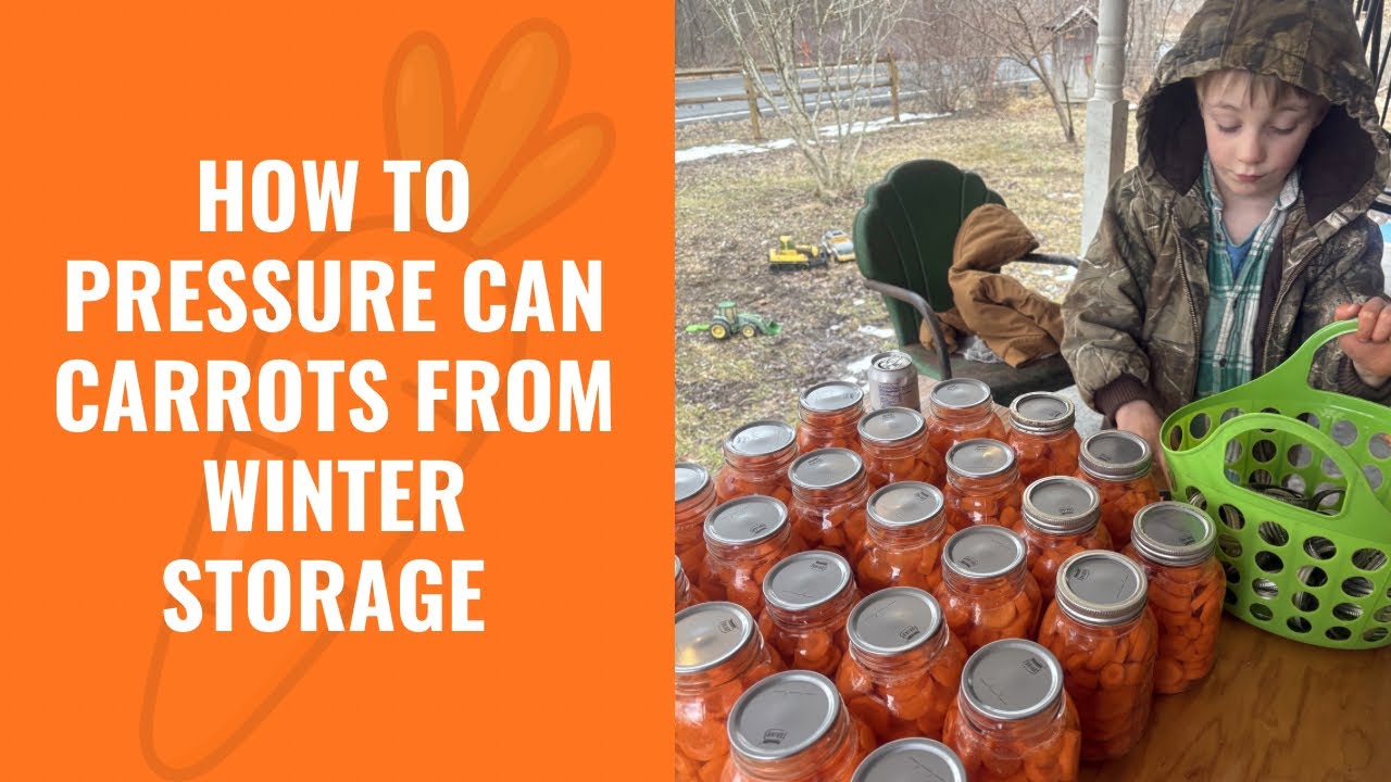How to Can Carrots from Winter Storage 
