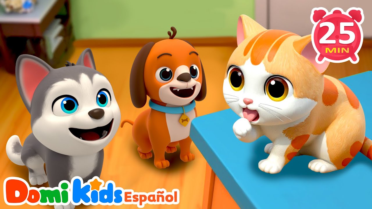 🐱¿Quién se llevó al gato bebé? | Inglés y Español | Rimas Infantiles | Domi Kids Fiesta Animal