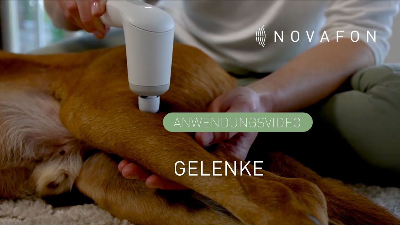 Gelenke des Hundes behandeln | Anwendungsvideo | NOVAFON