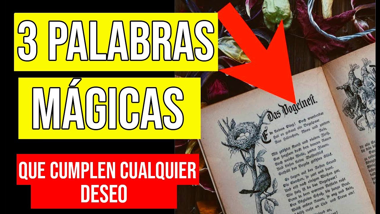 PRONUNCIA estas 3 PALABRAS MÁGICAS porque son las MÁS PODEROSAS DE TODOS LOS TIEMPOS!!!
