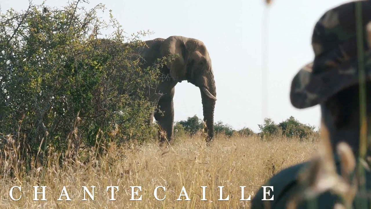 World Ranger Day with Sylvie Chantecaille and Stephanie von Watzdorf