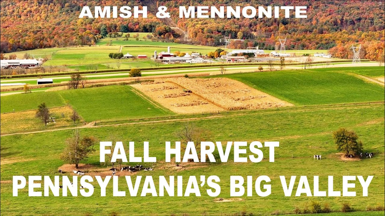 AMISH-MENNONITE Fall Harvest in Pennsylvania's BIG VALLEY With Gorgeous Autumn Forest Backdrop