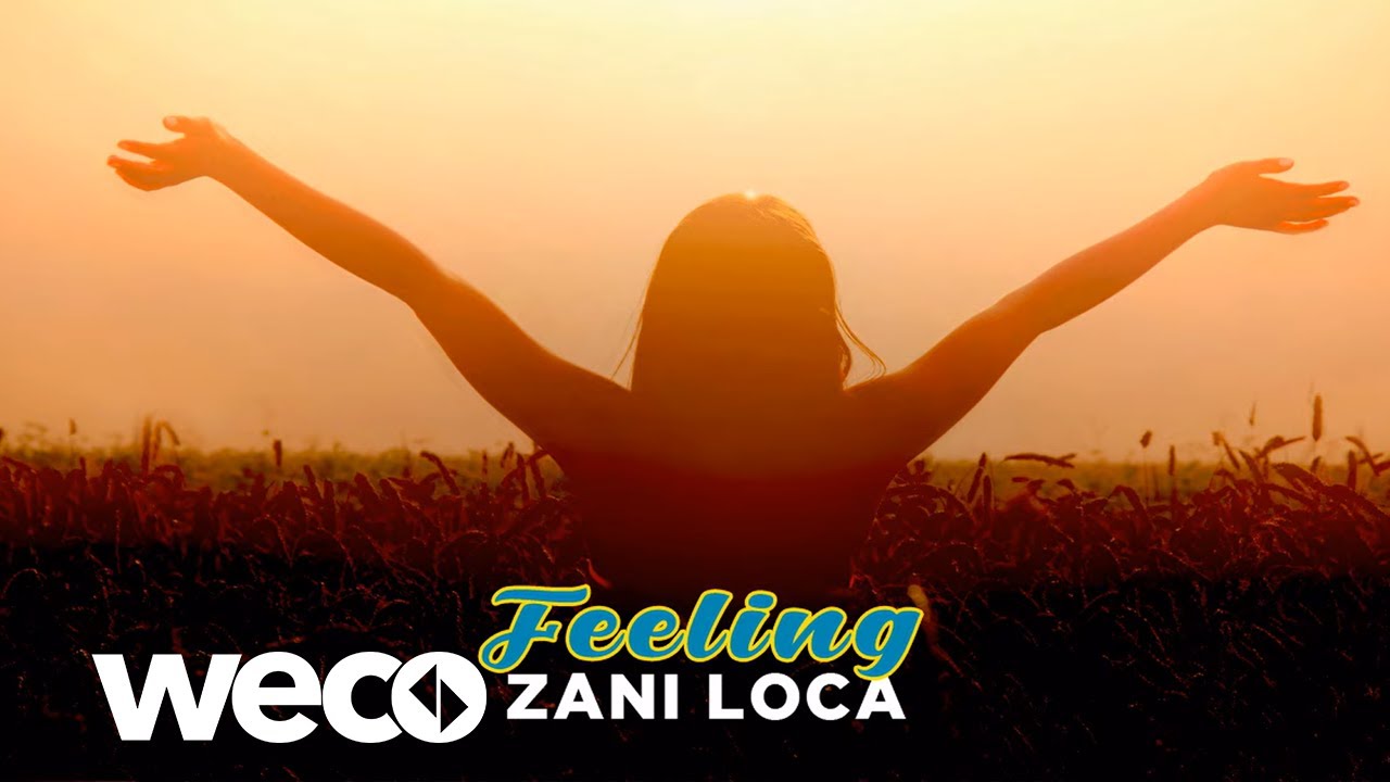 Zani Loca - Feeling (Official Audio)