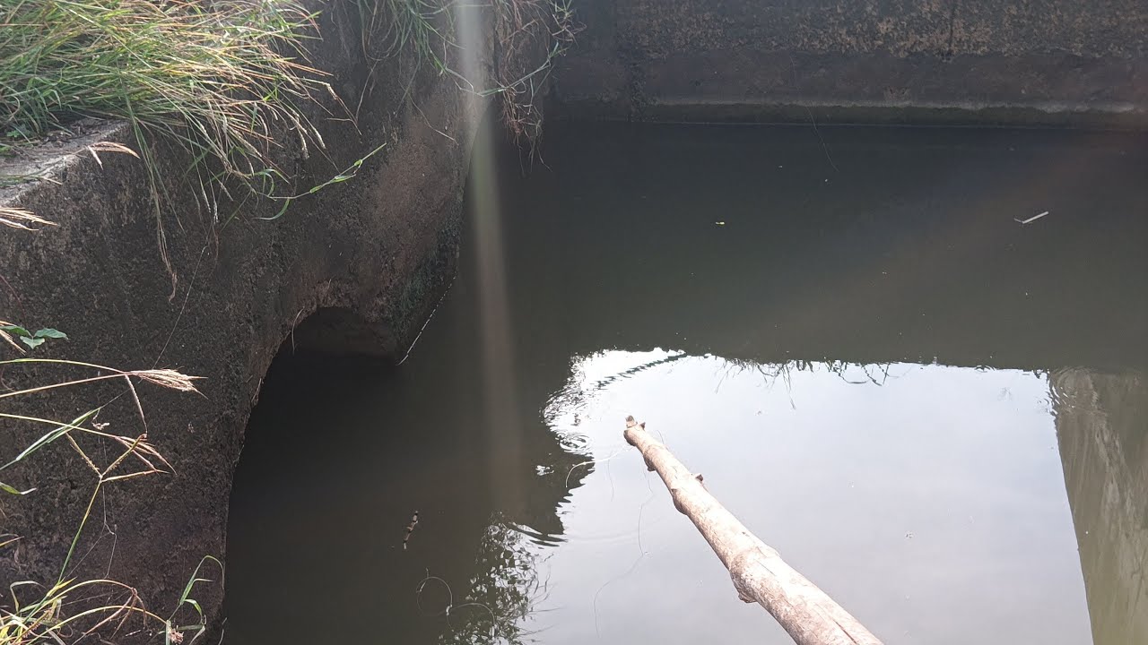 Huk fishing live 🎣🎣🎣🎣🐟