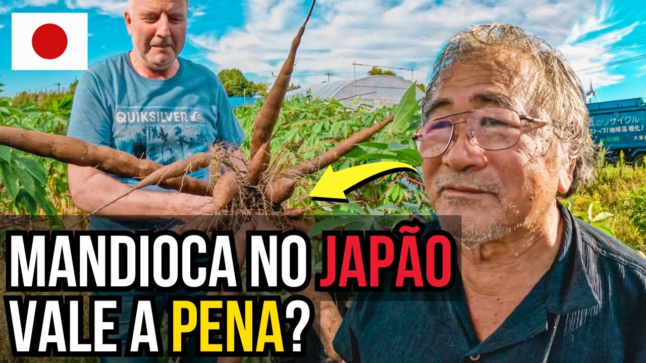 SEGREDOS DA PLANTAÇÃO DE MANDIOCA NO JAPÃO