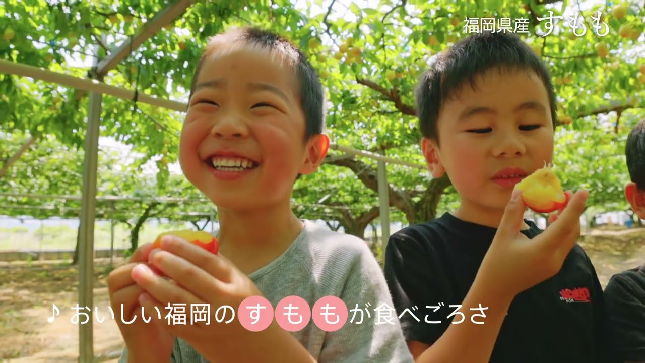 ★福岡県産すもものご紹介★