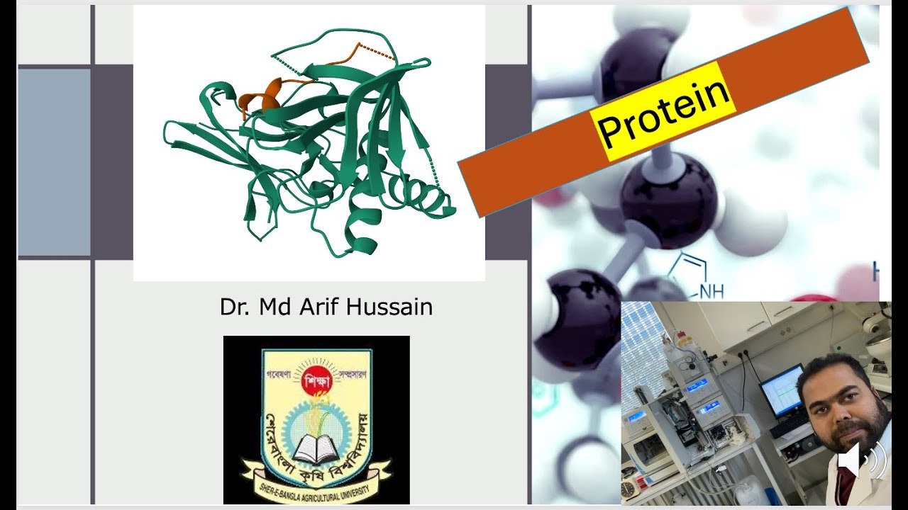 Protein  part 1
