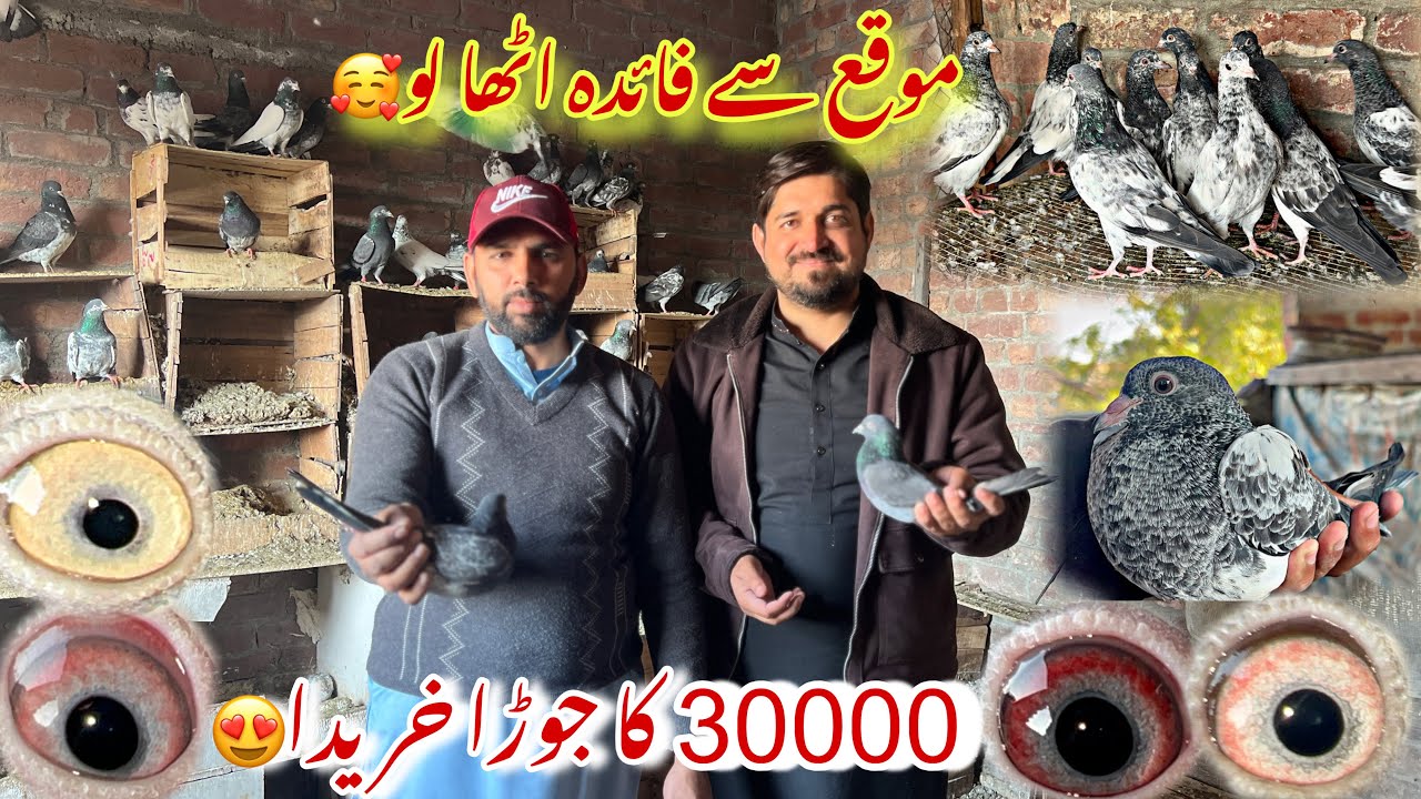 30 Hazar ka chapra joda purchase kiya 😍 03237988919 