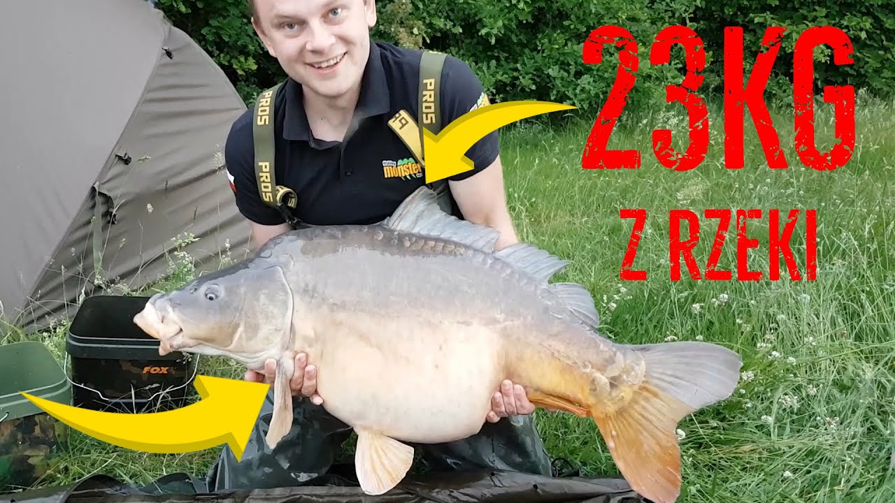 Vlog28 Wyjazd nad małą rzekę część druga. Karp 23 kg