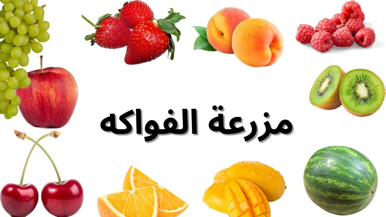 تعلم أسماء وأشكال الفواكه بالعربي للأطفال - تعليم الفواكه للأطفال| fruits names in Arabic for kids 