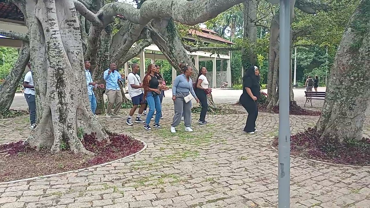IBIRAPUERA - APRESENTAÇÃO AFRICANA.