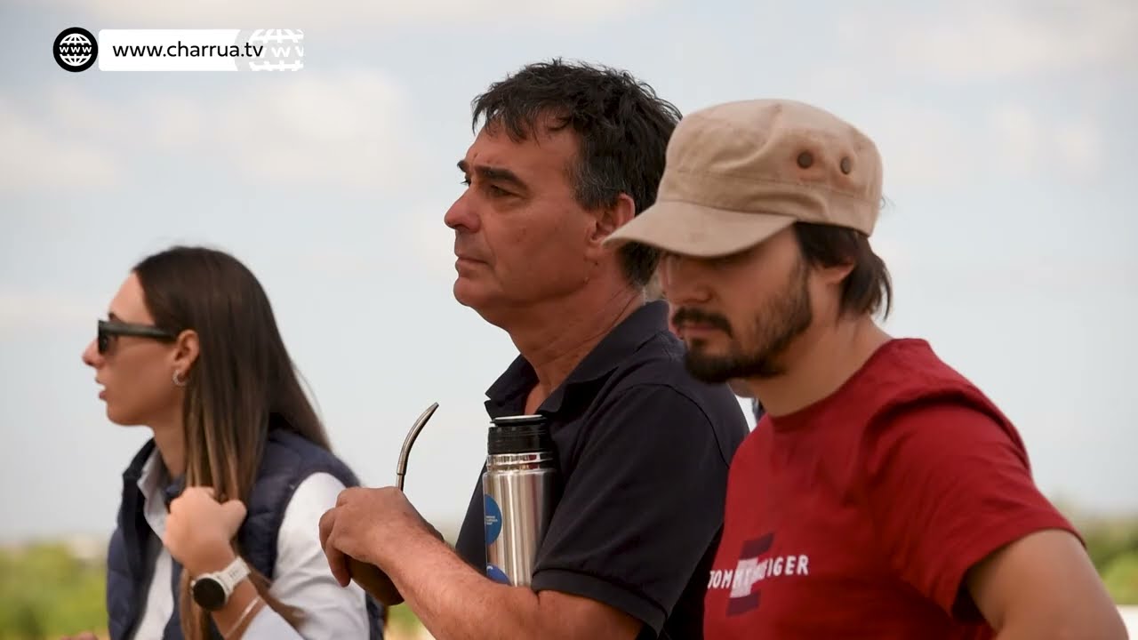 🌽 INIA Evalúa Nuevas Variedades de Maíz: Transgénicos, No GM y Estabilidad Productiva - Jhon Larzaba