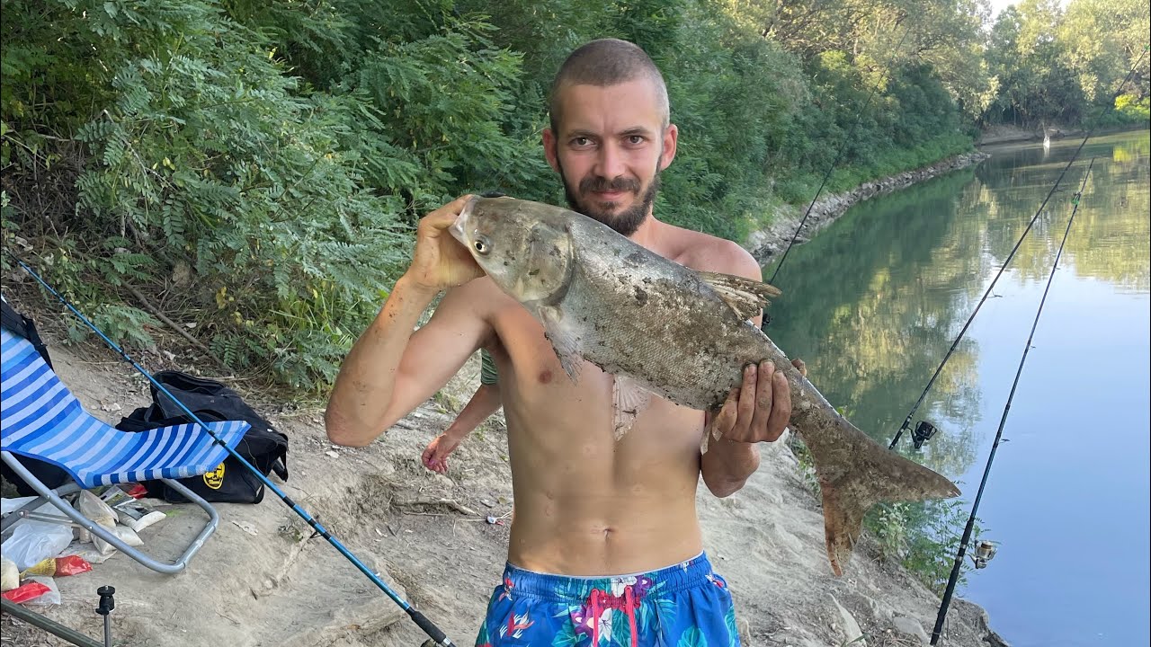 Pescuit pe Prut la Novac ziua 1/2( l-am dezmembrat ) @academiabulldogsiasi