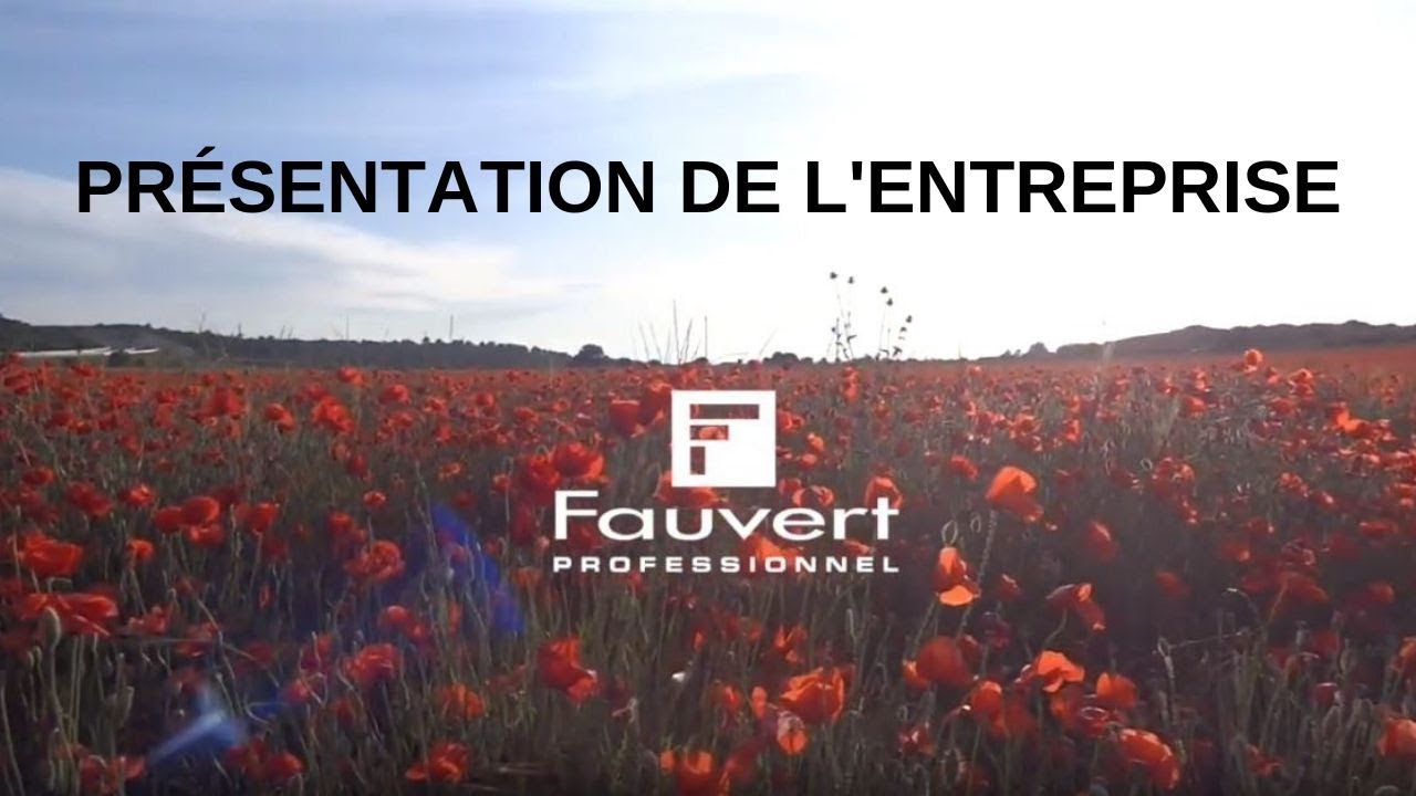 FAUVERT PROFESSIONNEL : Présentation de l'entreprise