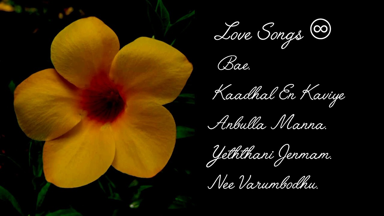 Tamil Love Songs ❤/ Top Five Songs/@JK Music Infinity♾️