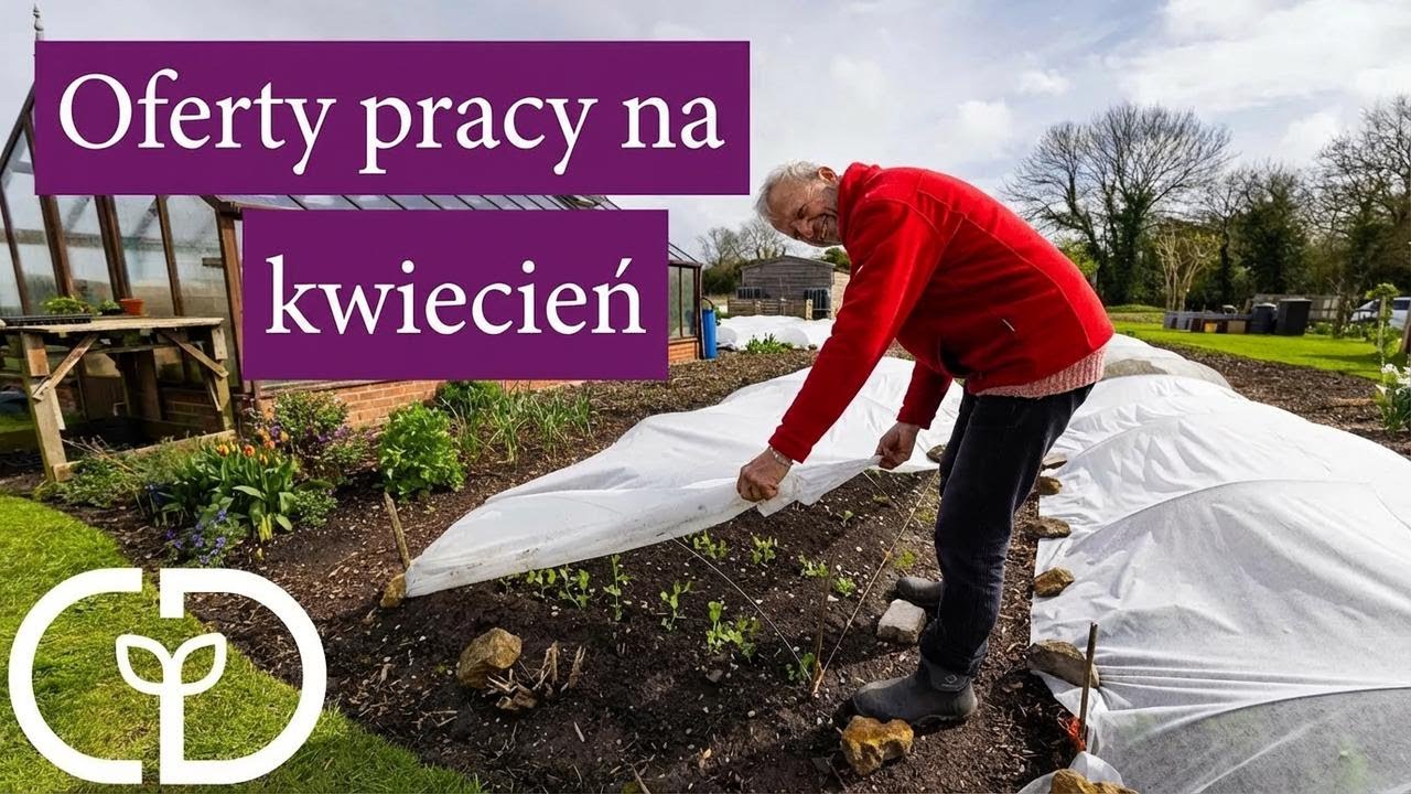 Nowe zbiory i czas przejścia – lato tuż za rogiem!