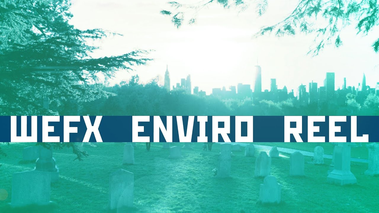 Environment Reel WeFX