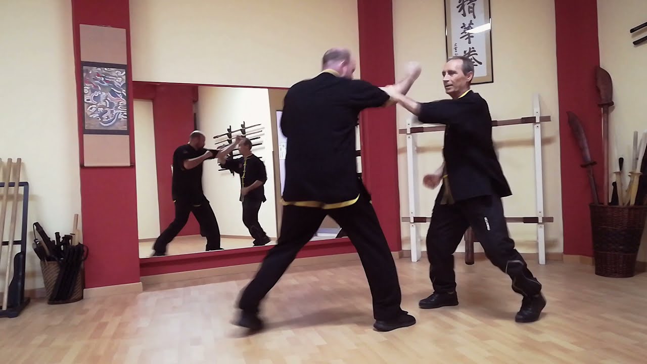Jing Hua Quan - Nei Qi Gong Fu (Shifu Costantino Valente)