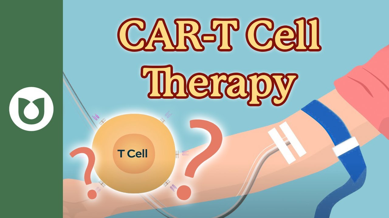 What Is CAR-T Cell Therapy? A Breakthrough Cancer Immunotherapy
