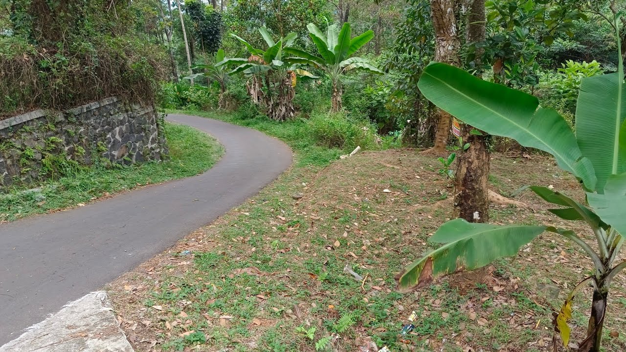 Tanah kebun di perumahan antam‼️Luas 880 m² AJB Turun Harga‼️155 juta nego pemilik WA - 085814799809