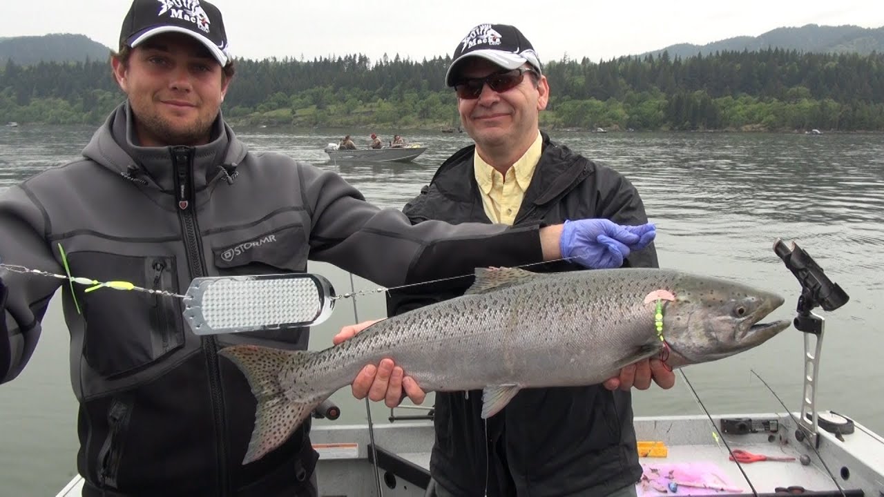 Drano Lake & Wind River Spring Chinook