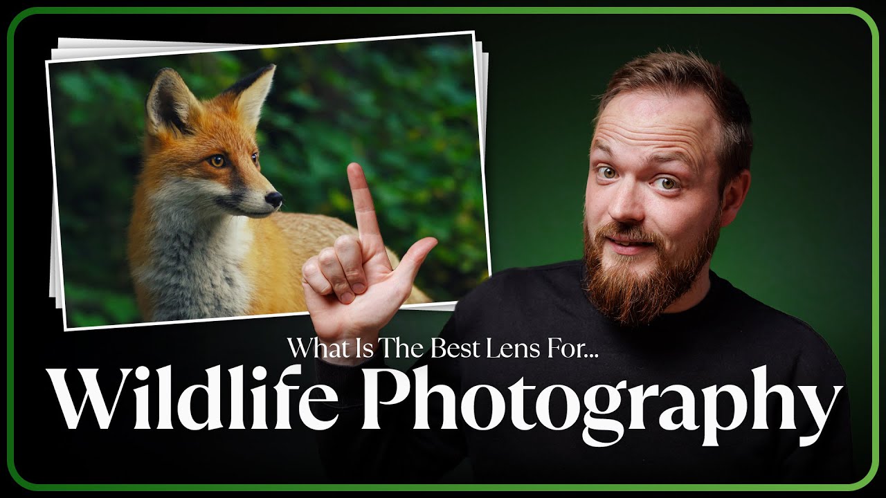 The Best Wildlife Lenses I Have Ever Reviewed? | Tier List