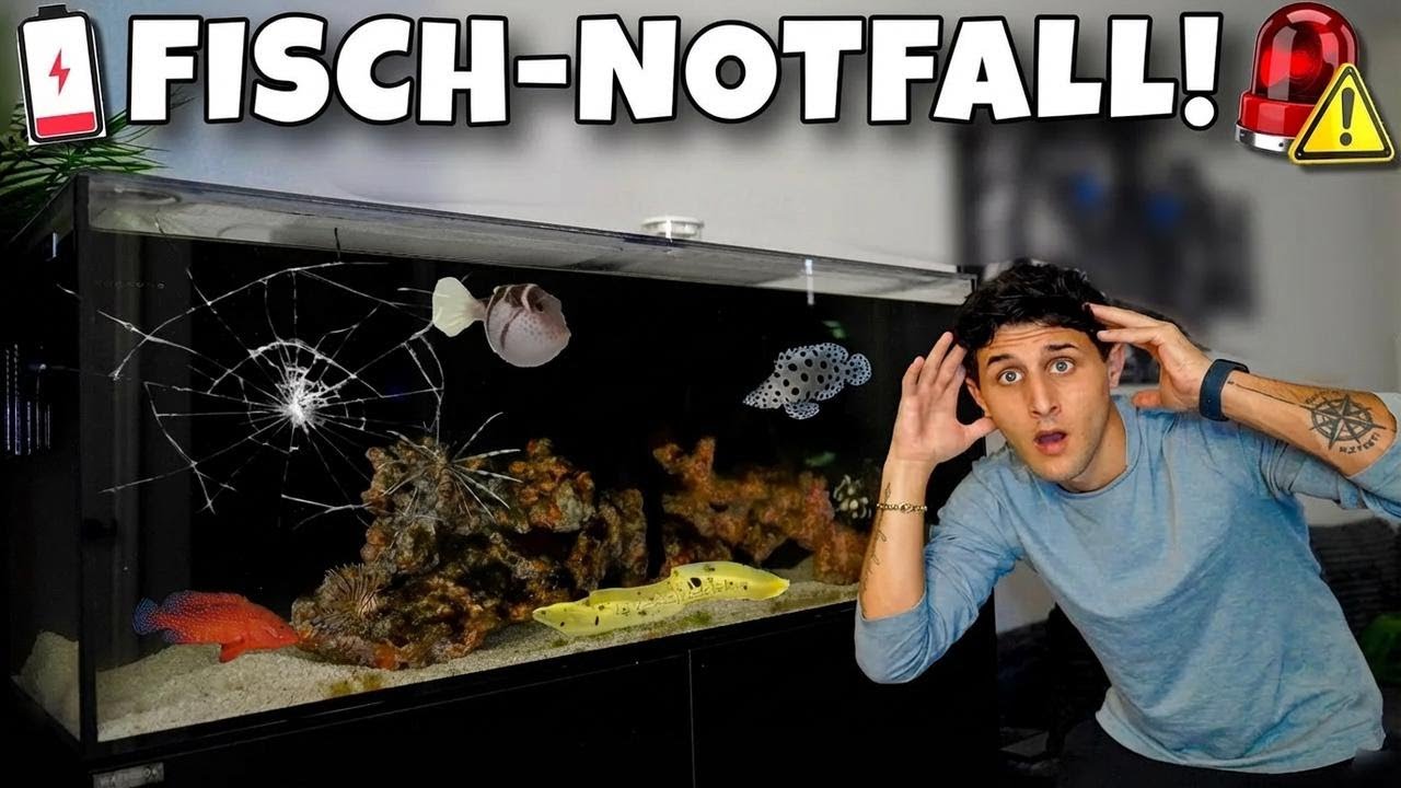 Notfall mit meinem Meerwasseraquarium!