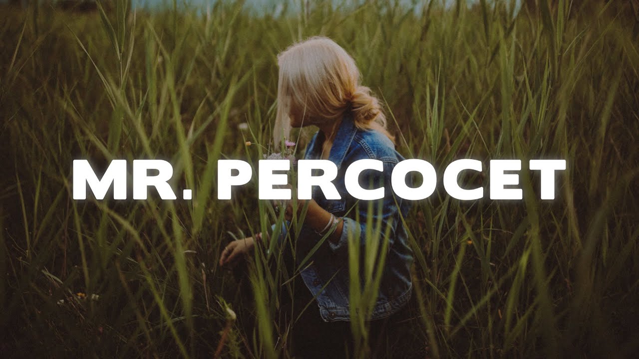 Noah Cyrus - Mr. Percocet (Lyrics)
