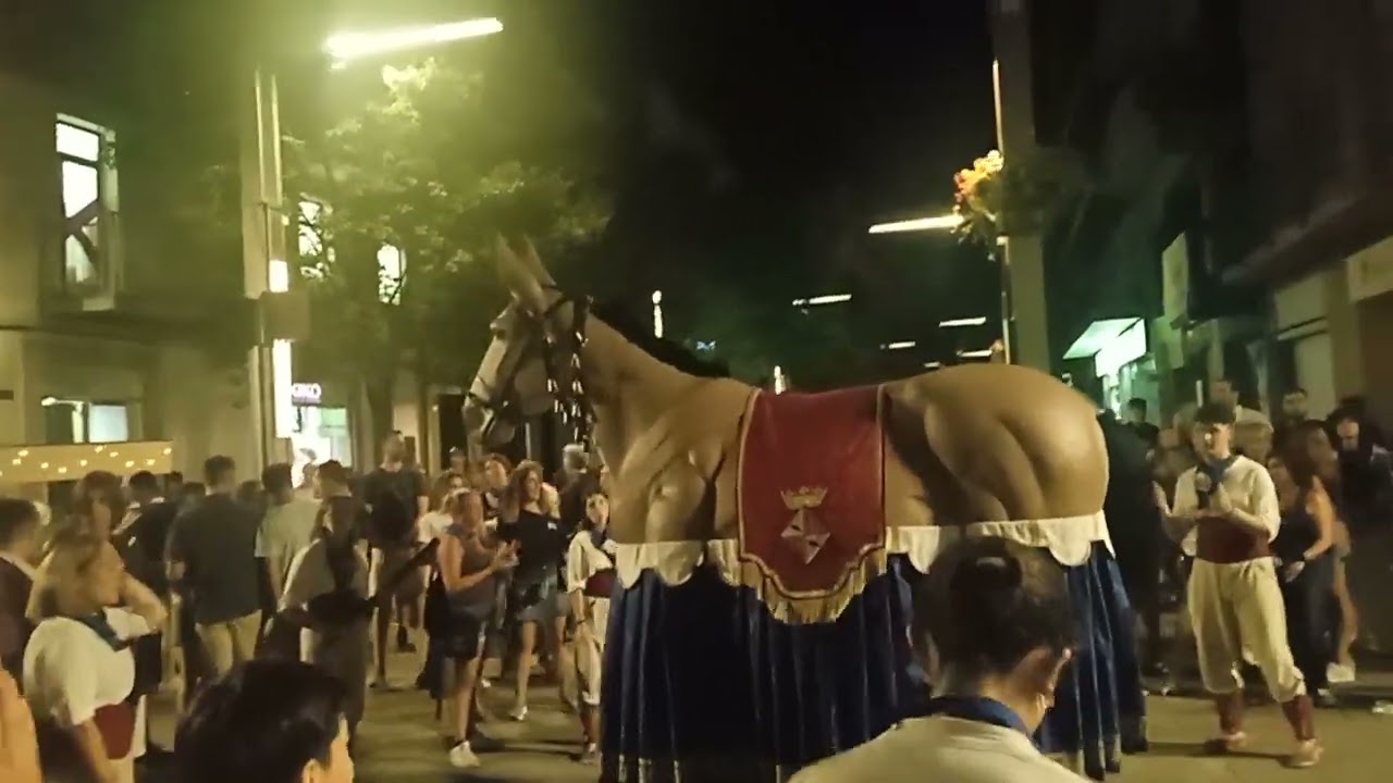 La Gran Burrada Cercavila Nocturna de la Mulassa de Granollers per festa major de blancs y blaus 