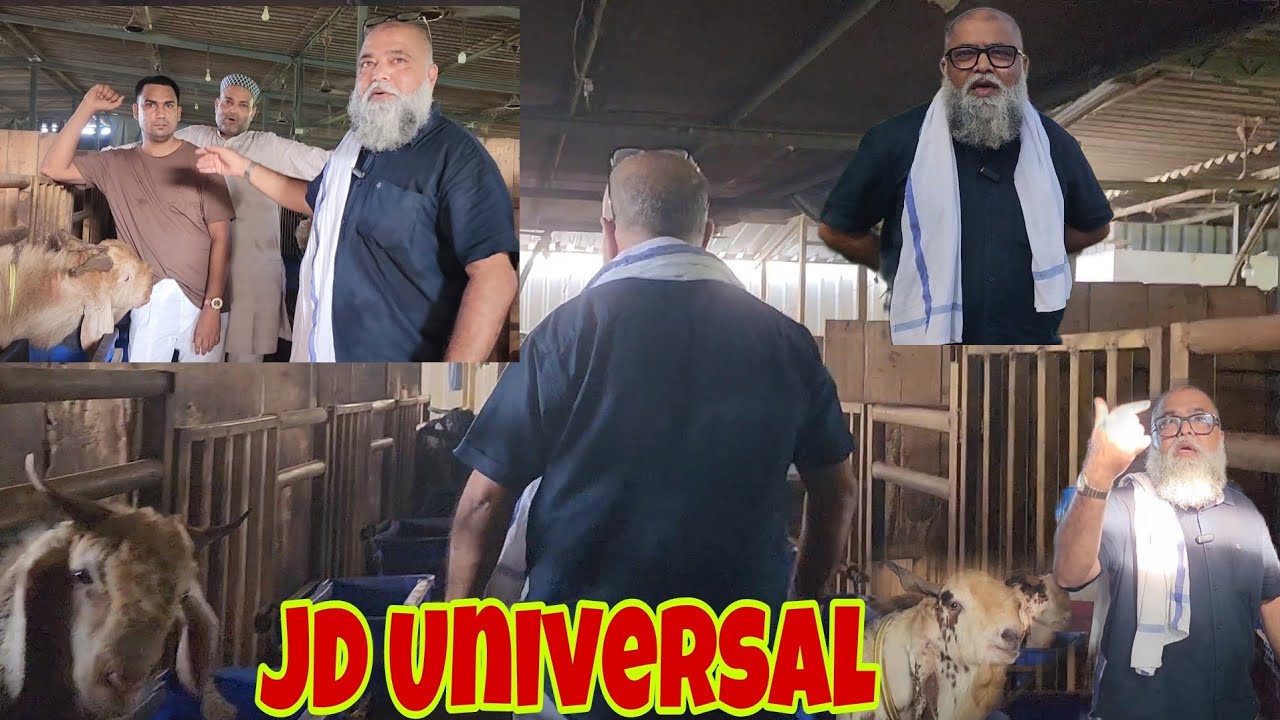 EK Din Main JD Goat Farm Ghumna Impossible | Countless Goats With Difficult To Believe Tyaari.