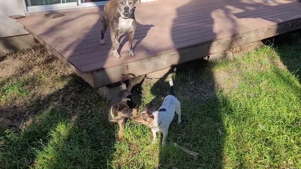 2 sisters getting to know each other.