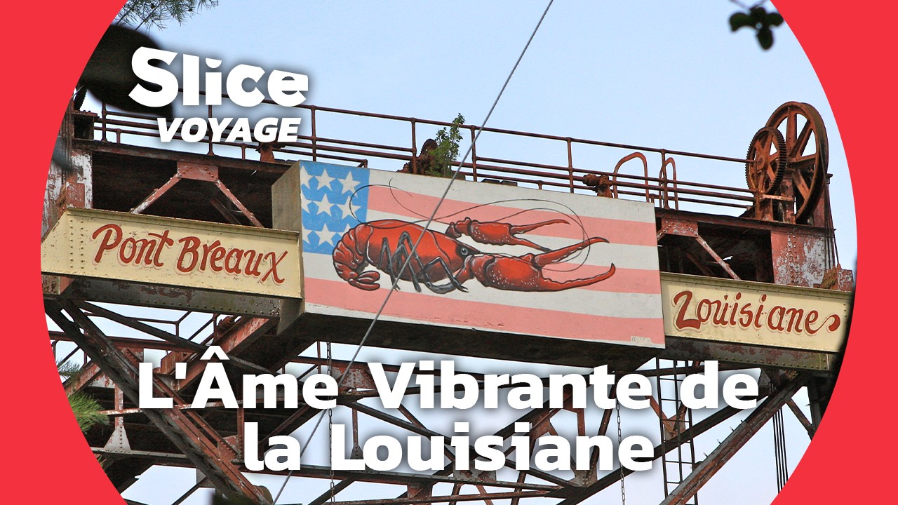 Bayous et Gumbo : Voyage au Cœur de la Louisiane I SLICE VOYAGE