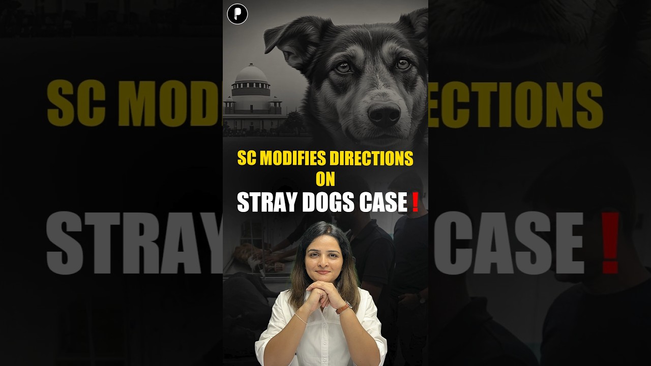 Supreme Court's New Rules for Stray Dogs in India | New Rules for Animal Welfare