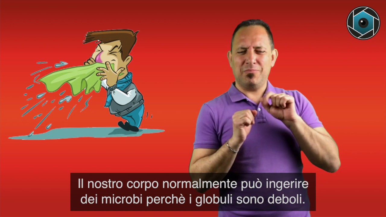 Curiosità - Microbi/Raffreddore - LIS