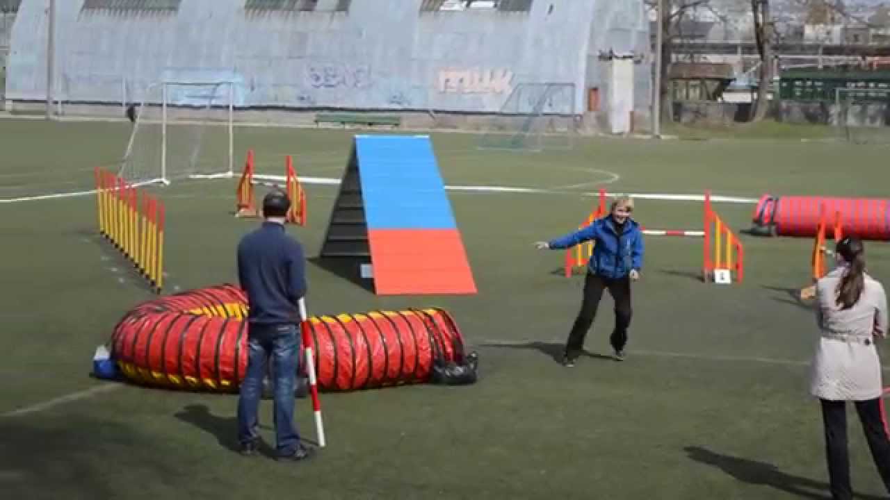 CACIAg Agility competition 25.04.2015. A3 AKITA.