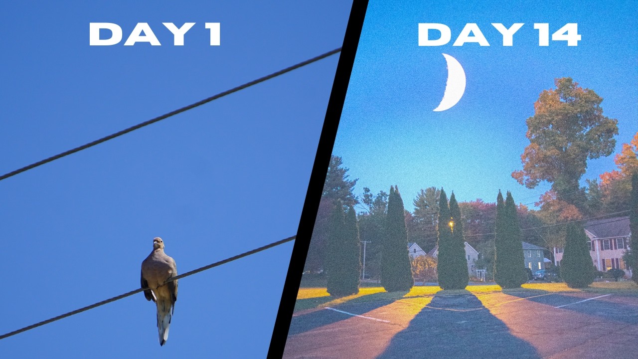 Taking a photo every day for a year (14/365)