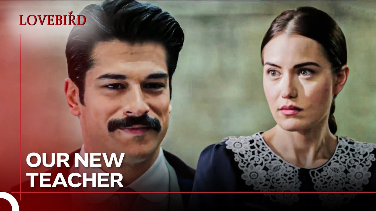 Kamran Became Feride's Teacher - Lovebird
