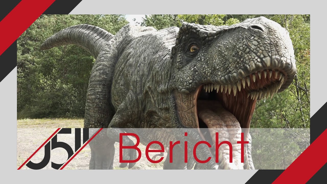 Mit Bus und Bahn die Region erfahr'n: Dinopark Münchehagen