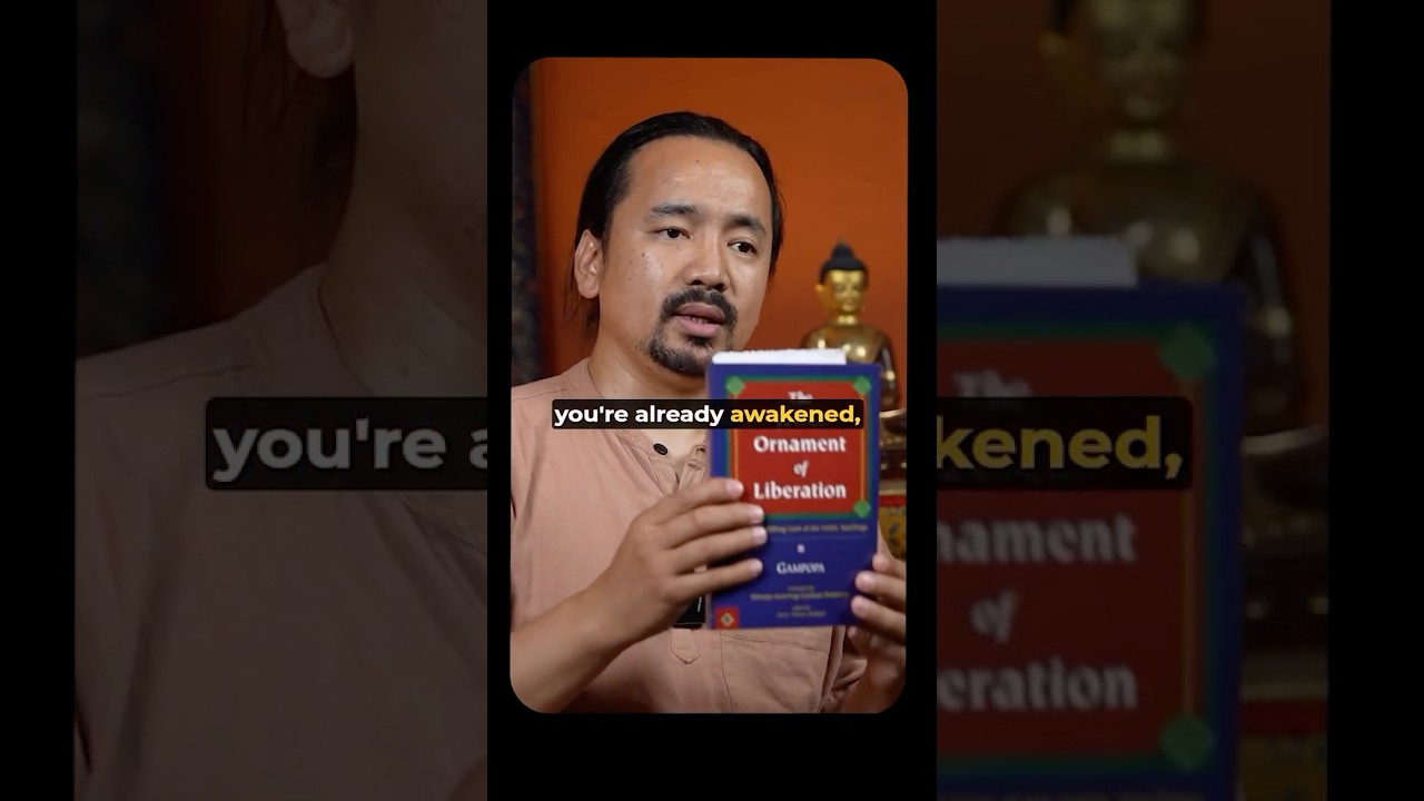 This Is Why You Forget Your Buddha Nature