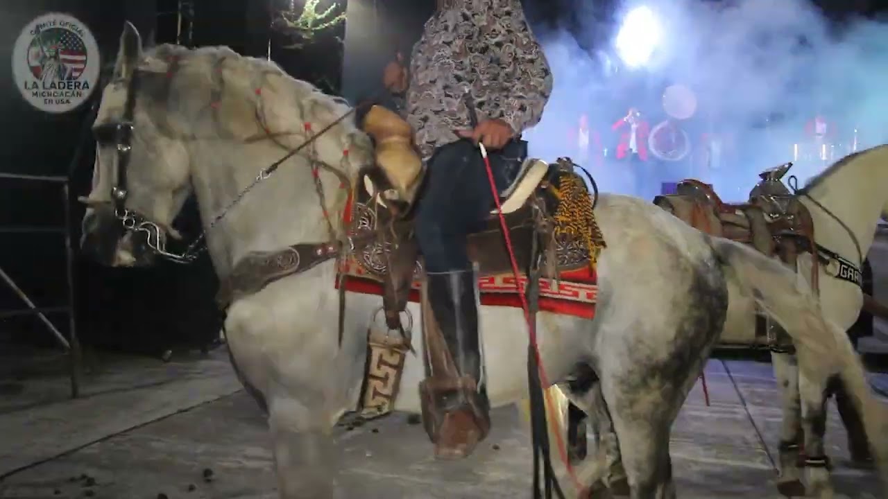 Fiestas Patronales 2025 parte 2