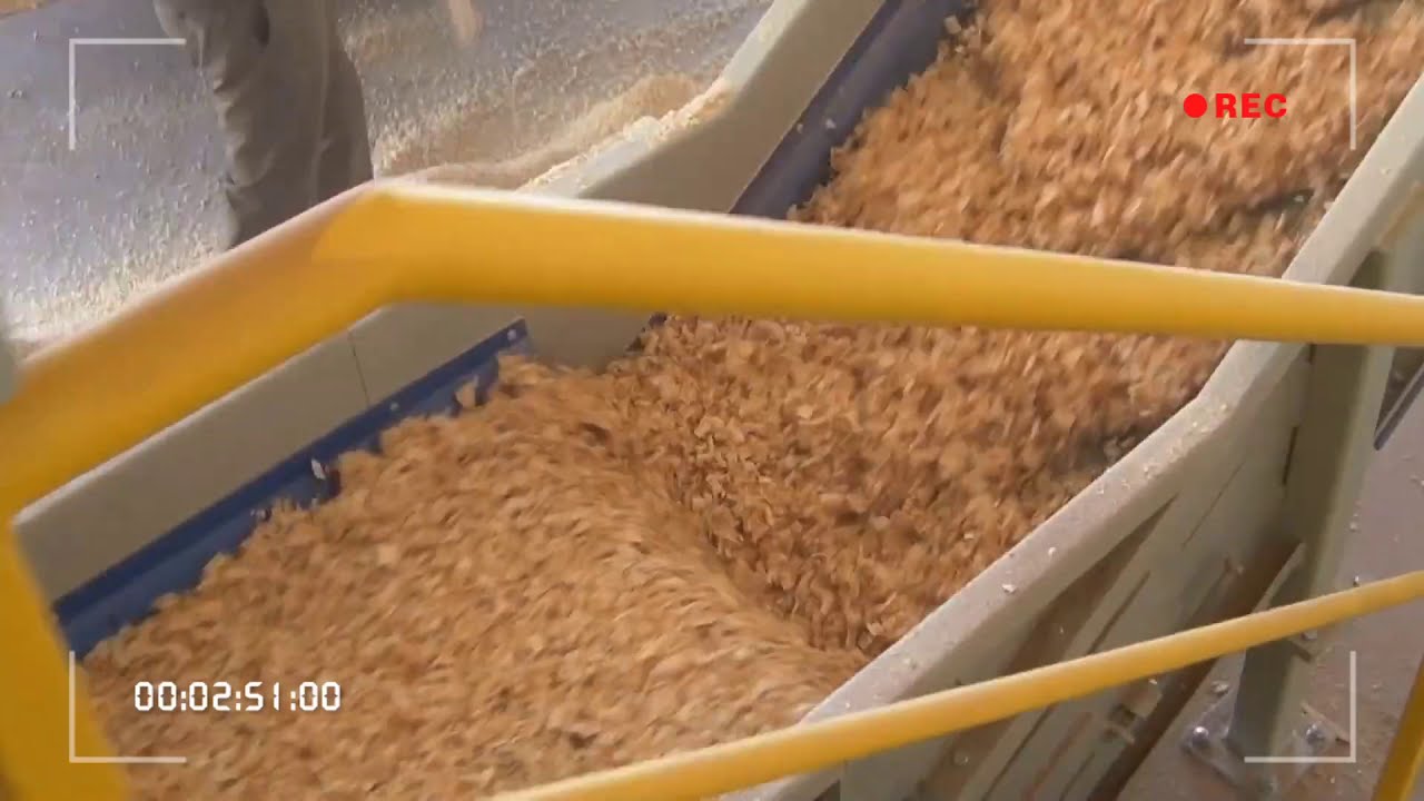 الراشد لصناعة الآلات🐴🐔 ماكينة نشارة خشب إنتاجية 4 طن في الساعة  00201019002249📞🚚 00201115404947📞🚚