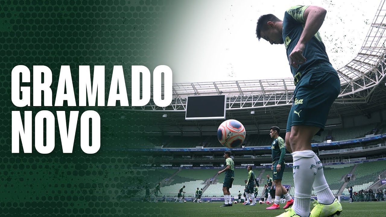 VERDÃO REALIZA PRIMEIRO TREINO NO GRAMADO SINTÉTICO