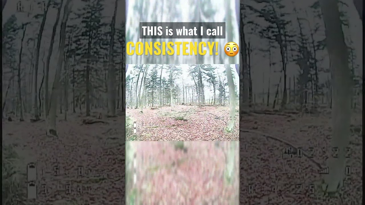YOU Won't Believe The Consistency With This FPV Freestyle Move! #shorts #fpv #drone #racing