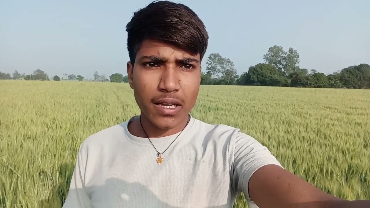 6 February 2026