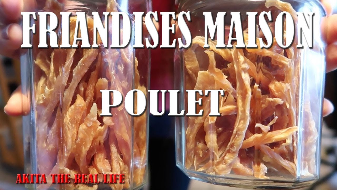 FRIANDISES NATURELLES DÉSHYDRATÉES AU POULET