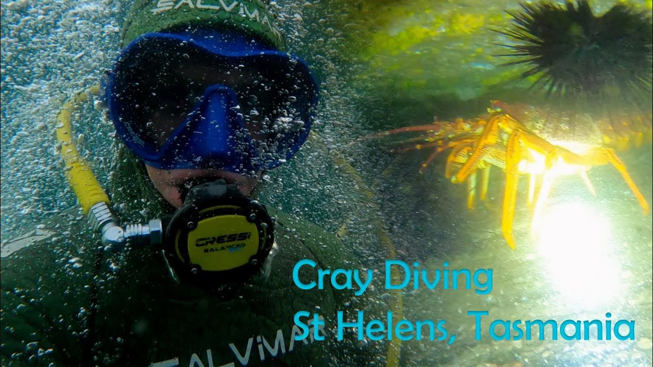 Cray Diving St Helens, Tasmania (Binalong Bay)