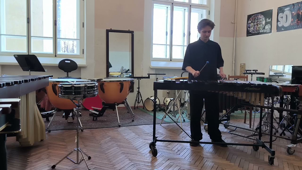 Nikolay Zhuchenko/percussion 