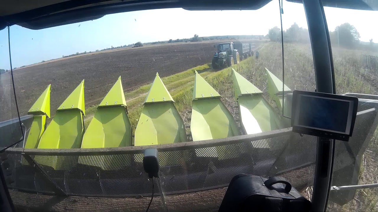 [2018] Napraforgó Aratás [GoPro]