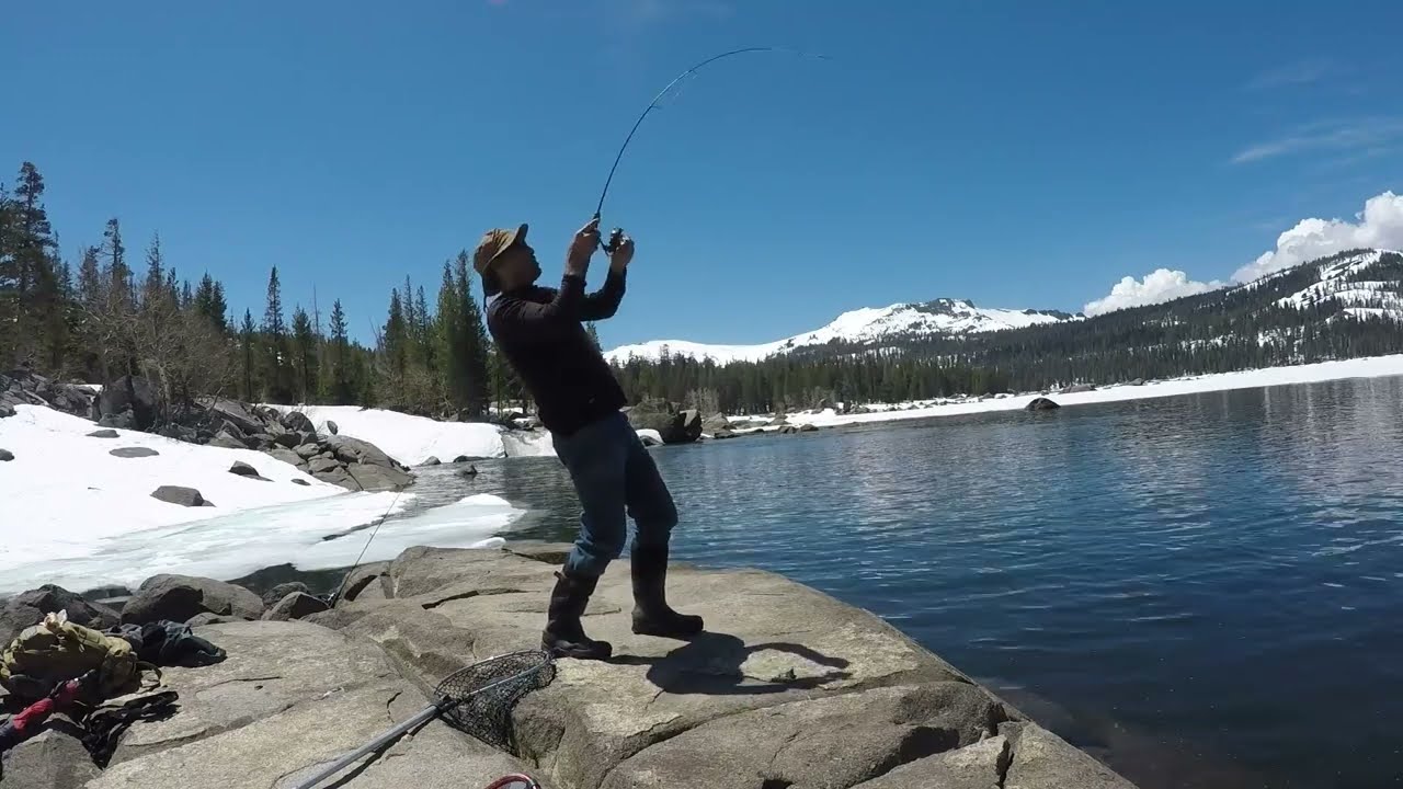 Nice Trout in Caples Lake's Limited Ice Free Water (CA)